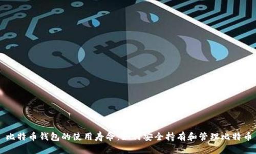 比特币钱包的使用寿命：如何安全持有和管理比特币