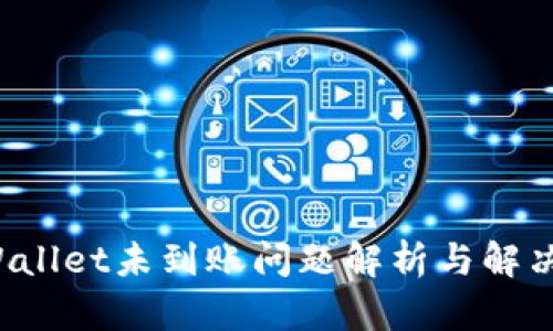  TPWallet未到账问题解析与解决方案