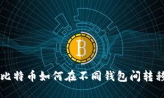 同一个比特币如何在不同