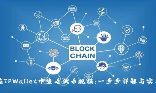 如何在TPWallet中查看代币规模：一步步详解与实用技巧