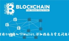 如何将BNB转入TPWallet：详细指南与常见问题解答