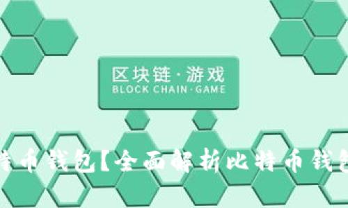 如何选择适合的比特币钱包？全面解析比特币钱包的空间与使用体验