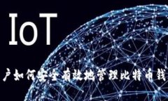 Mac用户如何安全有效地管理比特币钱包数据