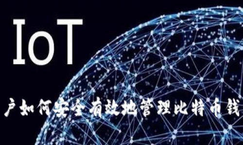 Mac用户如何安全有效地管理比特币钱包数据