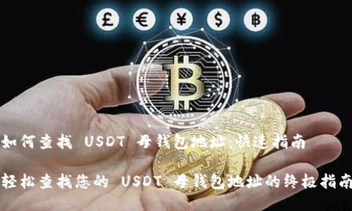 如何查找 USDT 母钱包地址：快速指南

轻松查找您的 USDT 母钱包地址的终极指南