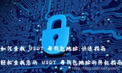 如何查找 USDT 母钱包地址：快速指南轻松查找您