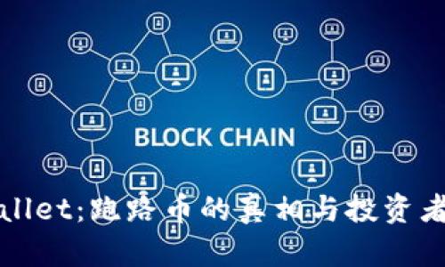 揭秘TPWallet：跑路币的真相与投资者自保策略