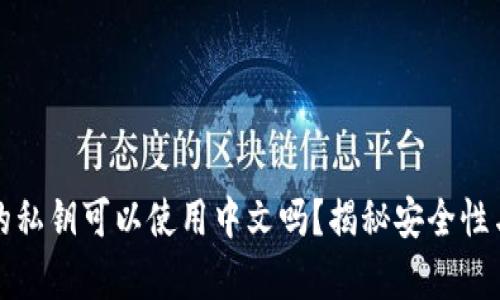tpwallet的私钥可以使用中文吗？揭秘安全性与实际操作