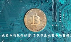 :比特币钱包的秘密：不仅仅是比特币的转移！
