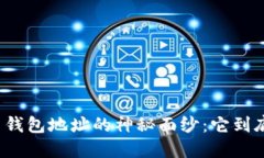 揭开比特币钱包地址的神秘面纱：它到底长什么