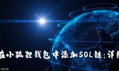 如何在小狐狸钱包中添加SOL链：详细指南