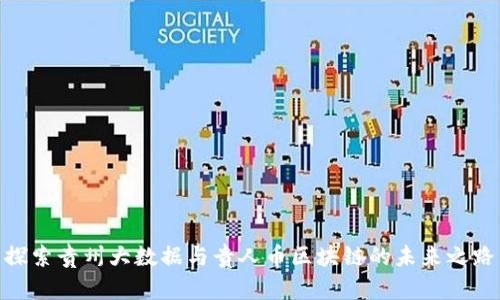 探索贵州大数据与贵人币区块链的未来之路