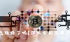 Token钱包跑路了吗？深入分析及用户保护指南