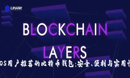 iOS用户推荐的比特币钱包：安全、便利与实用性