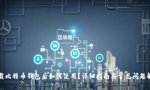 下载比特币钱包后如何使用？详细指南与常见问题解答