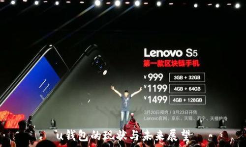  

u钱包的现状与未来展望