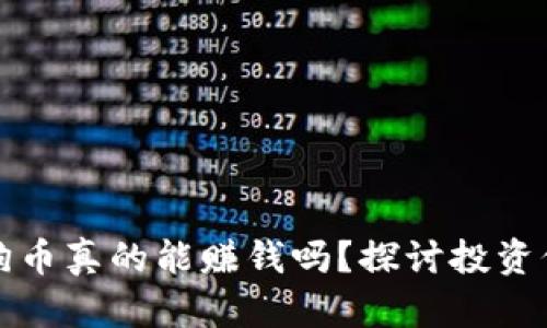 区块链狗狗币真的能赚钱吗？探讨投资价值与风险