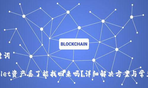 和关键词

tpwallet资产丢了能找回来吗？详细解决方案与常见问题