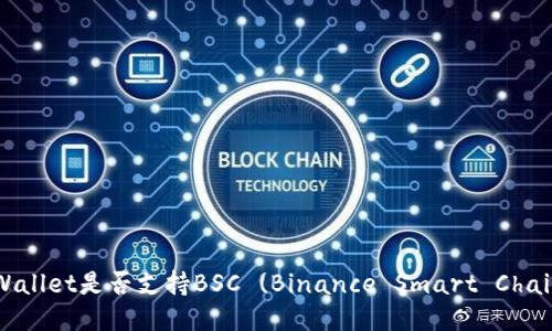 TPWallet是否支持BSC (Binance Smart Chain)?