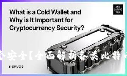 比特币钱包哪个安全？全面解析各类比特币钱包的安全性