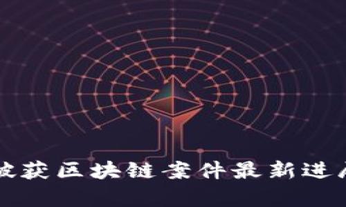 池州破获区块链案件最新进展解析