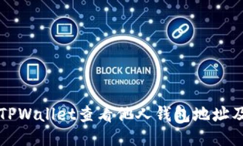 如何使用TPWallet查看他人钱包地址及交易记录