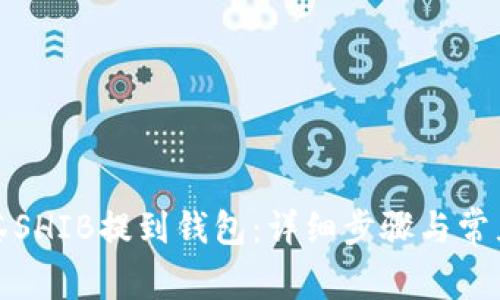 如何将抹茶SHIB提到钱包：详细步骤与常见问题解答