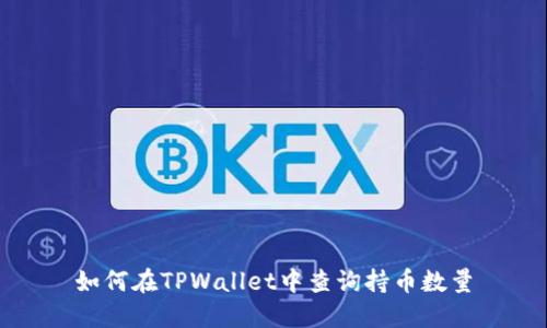如何在TPWallet中查询持币数量