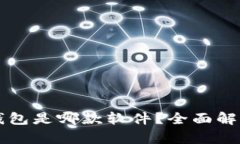 瑞波币官方钱包是哪款软件？全面解析及使用指