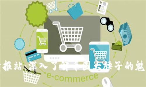 区块链情报站：深入了解币圈大腰子的魅力与机遇