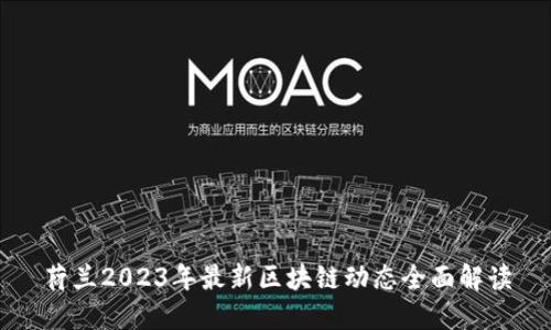 荷兰2023年最新区块链动态全面解读