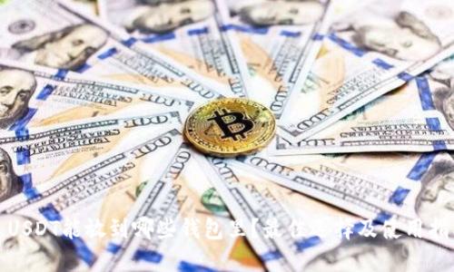 : USDT能放到哪些钱包里？最佳选择及使用指南