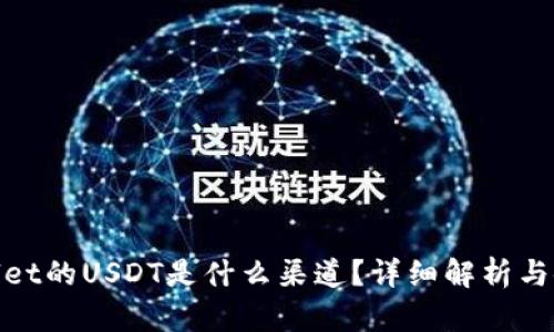 : tpwallet的USDT是什么渠道？详细解析与使用指南
